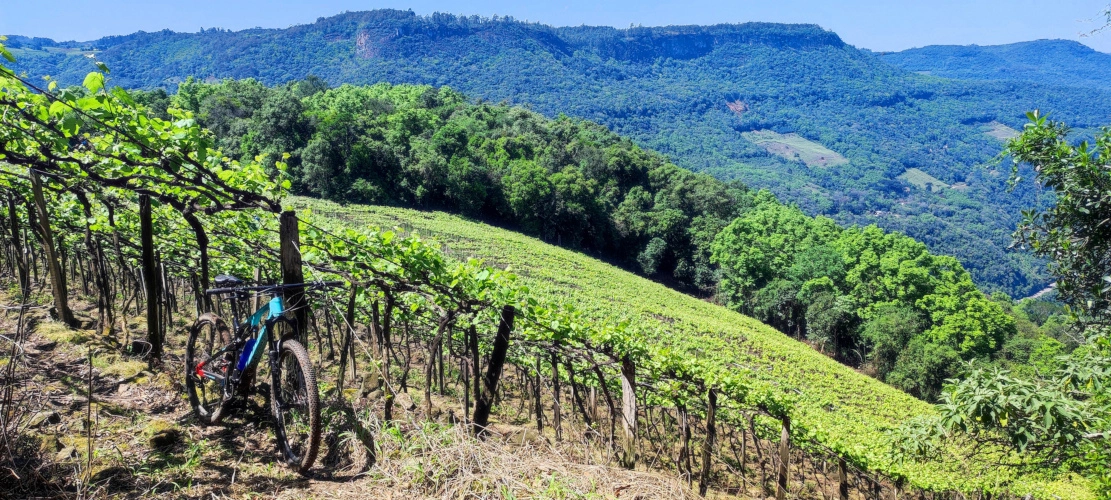 Vista dos morros em um parreiral na Terceira Légua