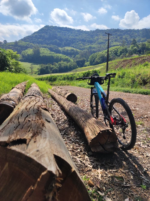 Bicicleta descançando ao lado de uma árvore caída na Estrada do Imigrante